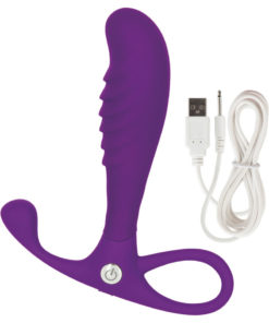 Embrace Tapered Silicone Anal Probe Waterproof Purple 4 Inch