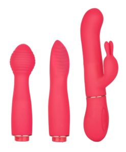 In Touch Dynamic Trio Rechargeable Silicone Vibrator With 3 Interchangeable Attachments - Pink
