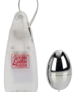 Pocket Exotics Vibrating Silver Egg - Silver