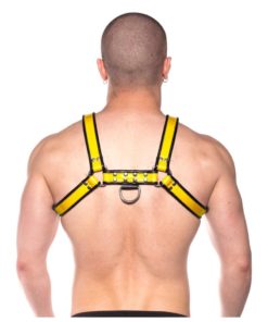 Prowler Red Bull Harness - 2XLarge - Black/Yellow