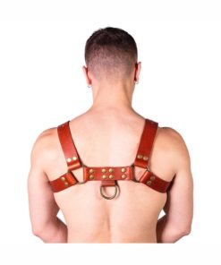 Prowler Red Butch Harness - Small - Brown/Brass