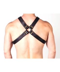 Prowler Red X Chest Harness - Small - Black/Brass
